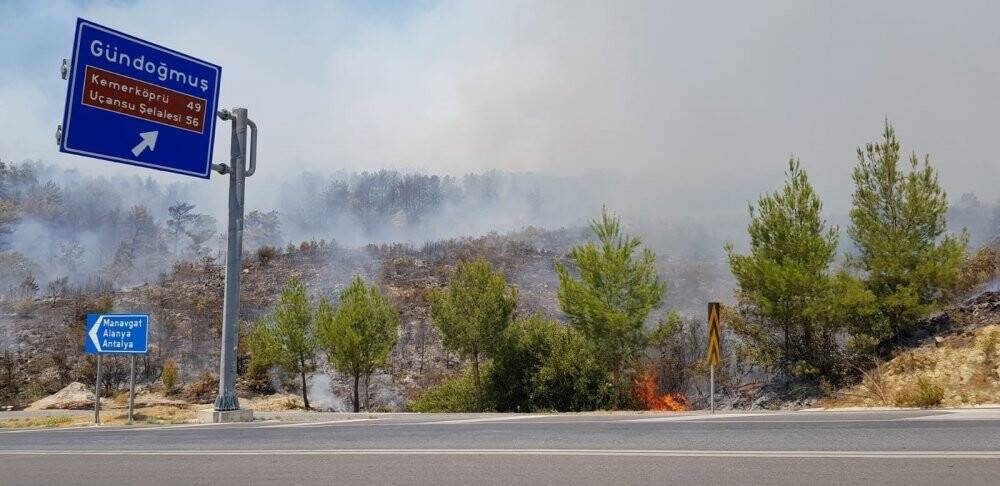 Manavgat-Konya yolu üzerinde orman yangını