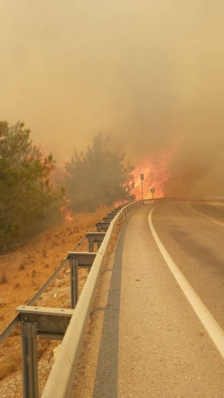 Manavgat-Konya yolu üzerinde orman yangını