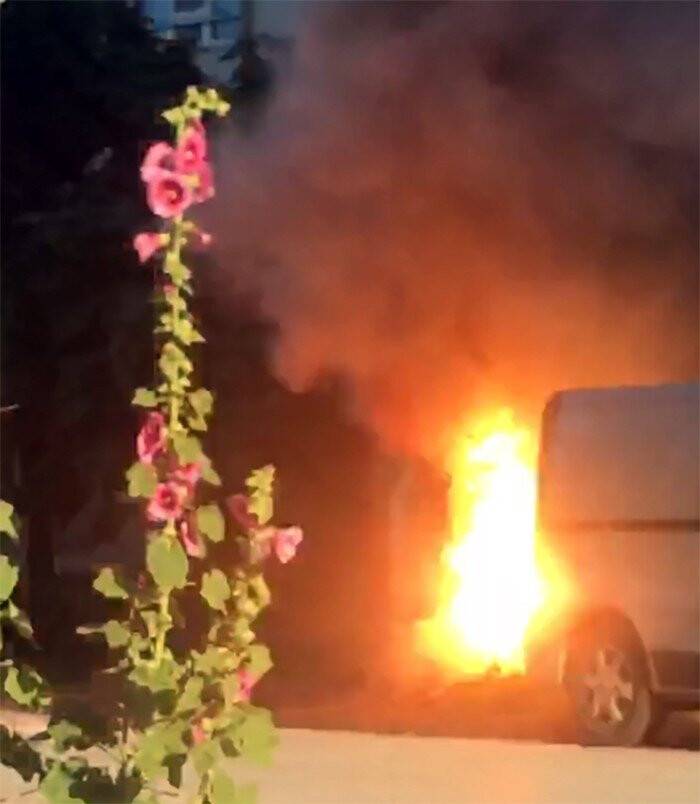 Silahlı çatışma sandılar gerçeği pencereden bakınca öğrendiler
