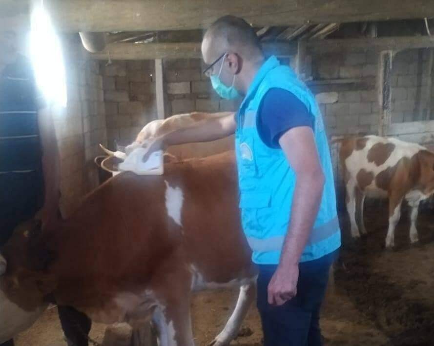 Köylerde '’Kırım kongo kanamalı ateşi’' aşılama çalışmaları