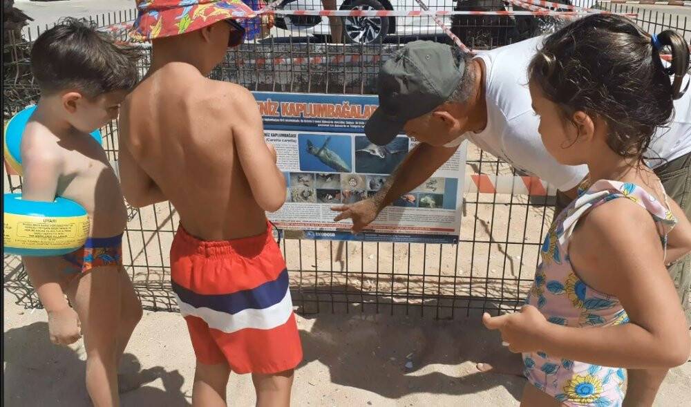 Didim’de 1 yıl aradan sonra Carettalar yumurta bıraktı