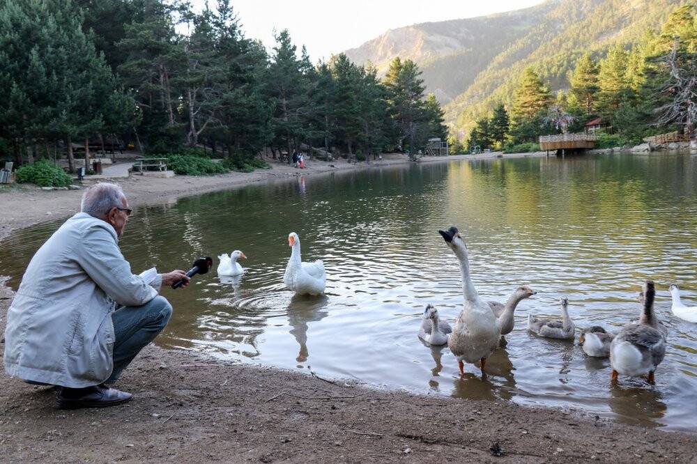 Doğa harikası Limni Gölü’ne ziyaretçi akını