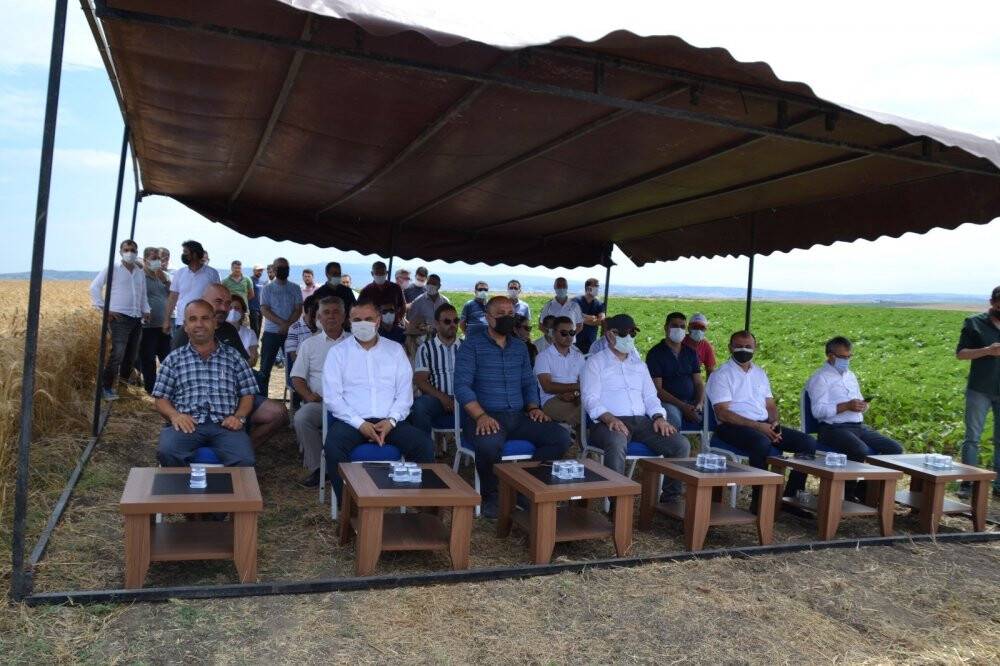 Tarla Günü’nde binlerce dekar hububatın hasadına başlandı