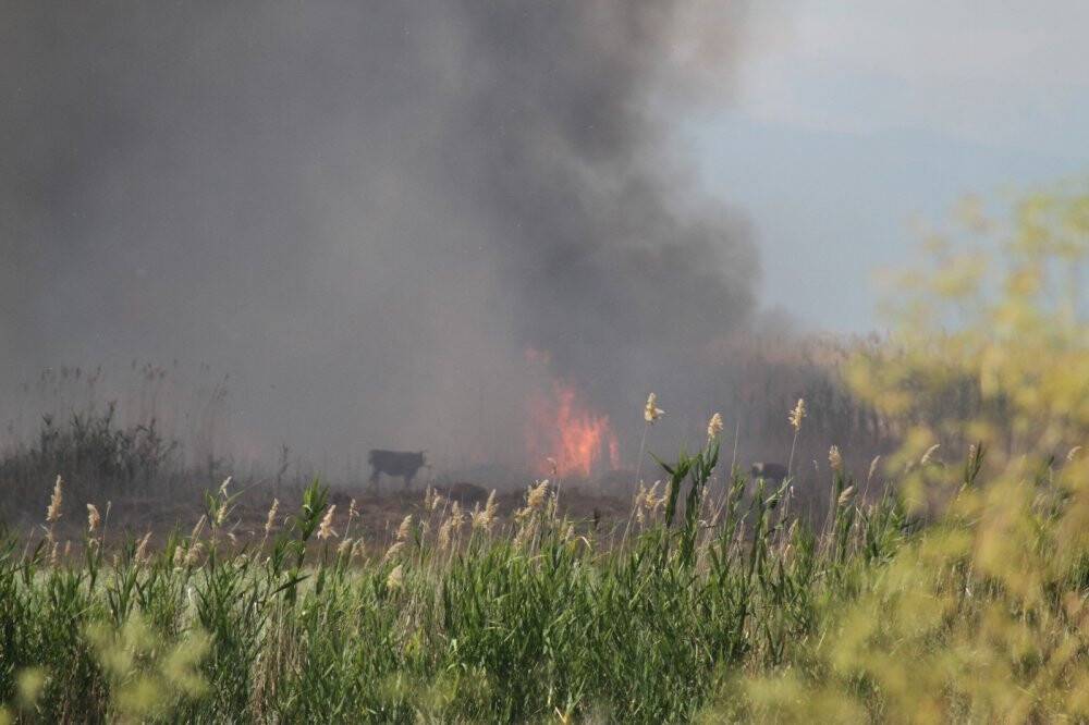 Beyşehir Gölü kenarındaki sazlık alan alev alev yandı