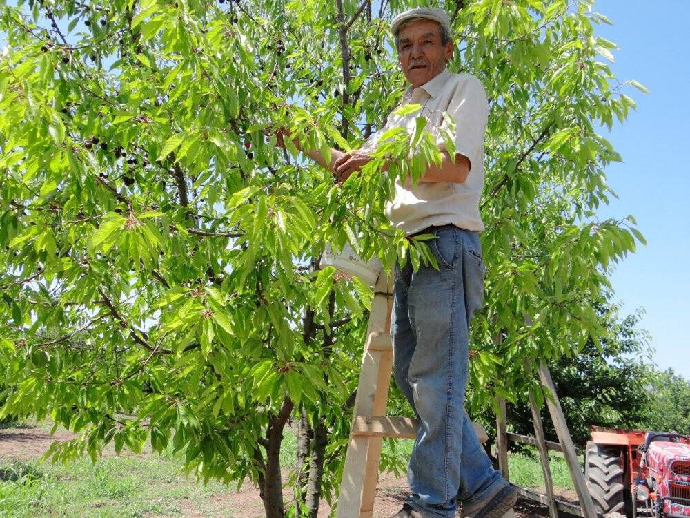 Yerinde 5, büyük marketlerde 20 lira