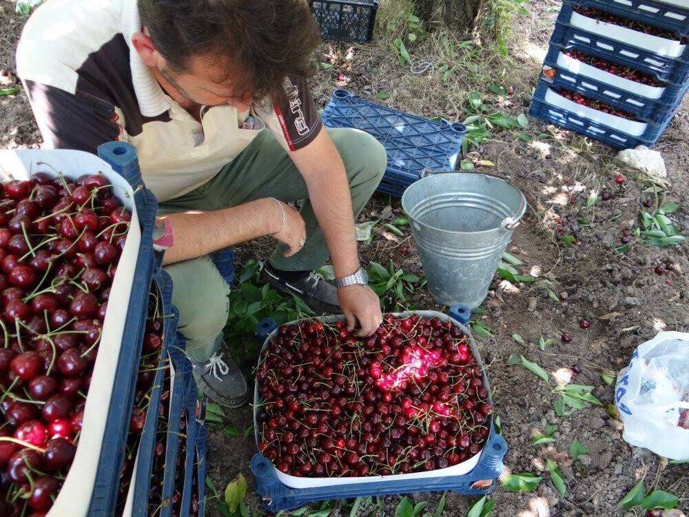 Yerinde 5, büyük marketlerde 20 lira