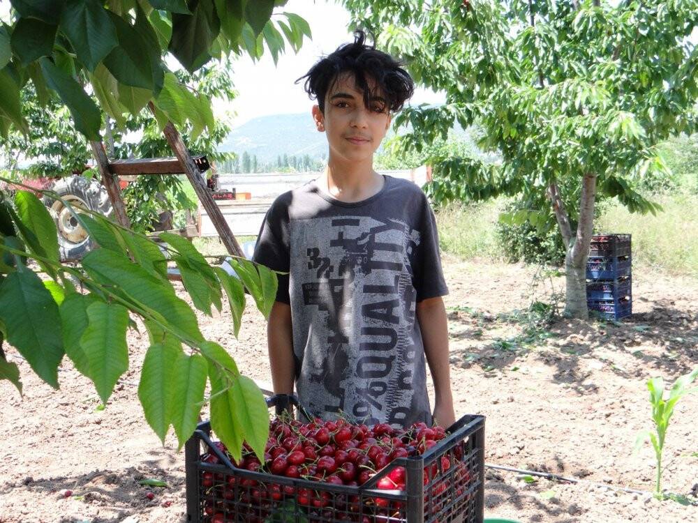 Yerinde 5, büyük marketlerde 20 lira