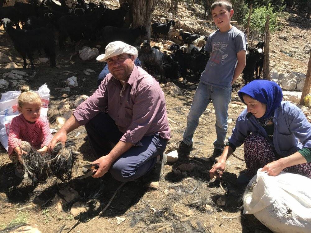 Yörüklerin keçi kırkma mesaisi başladı