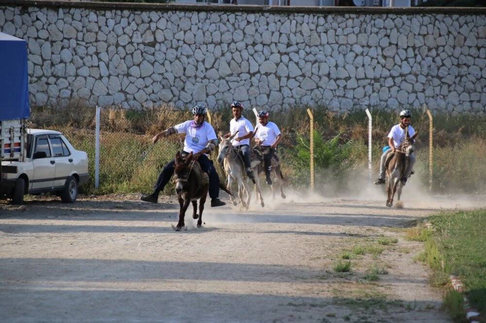 En hızlı ve en güzel gözlü eşek yarışları yapıldı