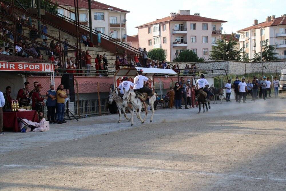 En hızlı ve en güzel gözlü eşek yarışları yapıldı