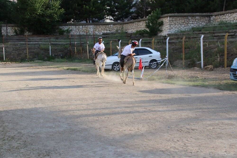 En hızlı ve en güzel gözlü eşek yarışları yapıldı