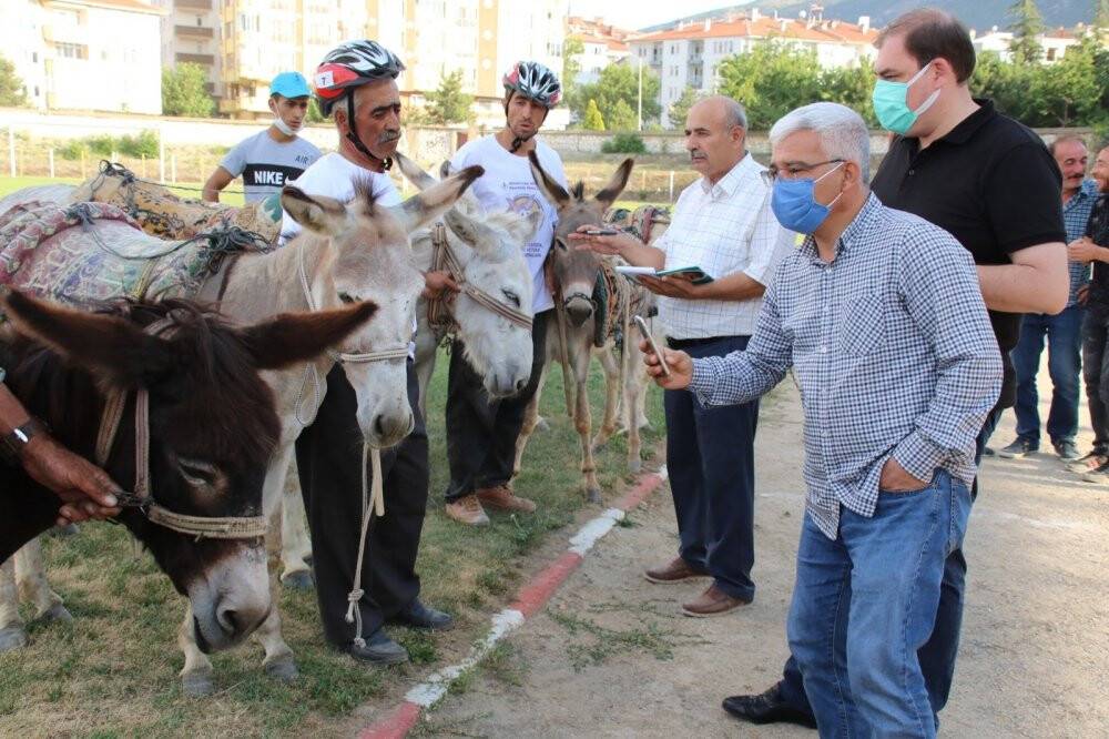 En hızlı ve en güzel gözlü eşek yarışları yapıldı