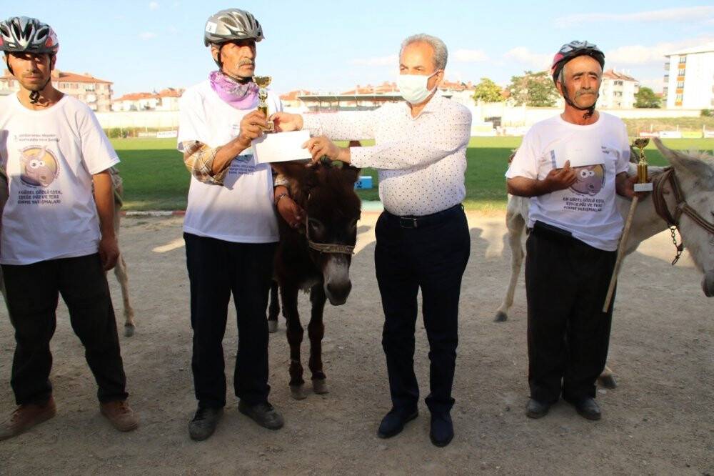 En hızlı ve en güzel gözlü eşek yarışları yapıldı