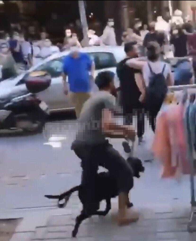 İstanbul’un göbeğinde labrador retriever dehşeti