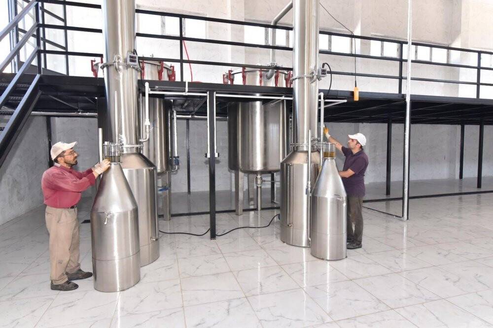 Başkan Altay: Lavanta üretimini geniş alana yayacağız