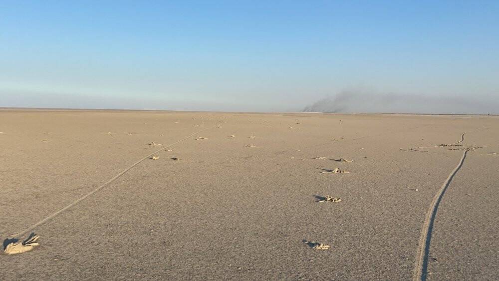 Flamingo cenneti Tuz Gölü’nde flamingo ölümleri