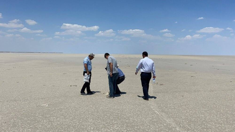 Tuz Gölü’ndeki ölü flamingolar incelemeye alındı