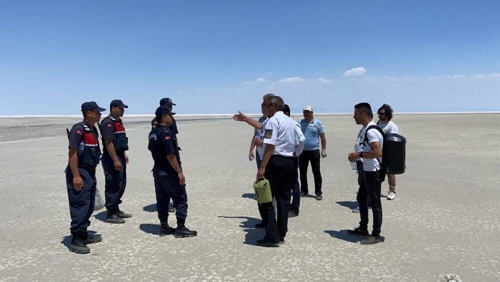 Tuz Gölü’ndeki ölü flamingolar incelemeye alındı