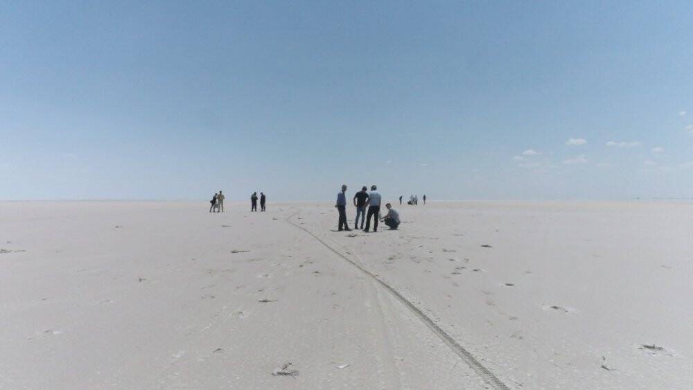 Tuz Gölü’ndeki ölü flamingolar incelemeye alındı