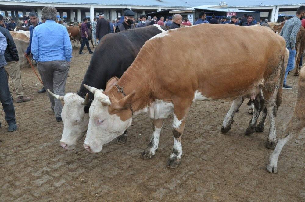 Kuraklık kurban satışlarını olumsuz etkiledi