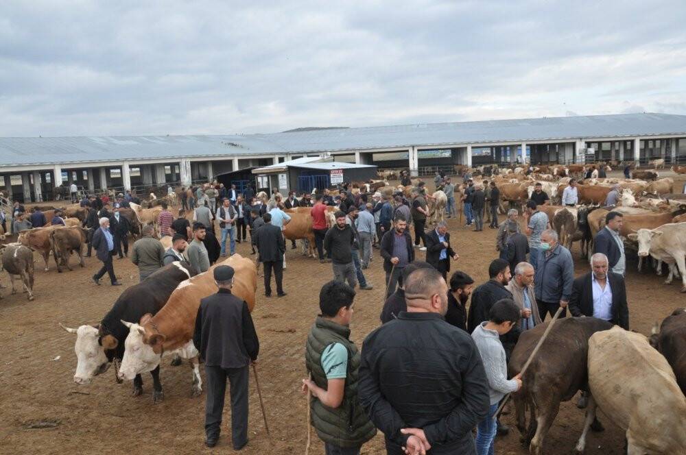 Kuraklık kurban satışlarını olumsuz etkiledi