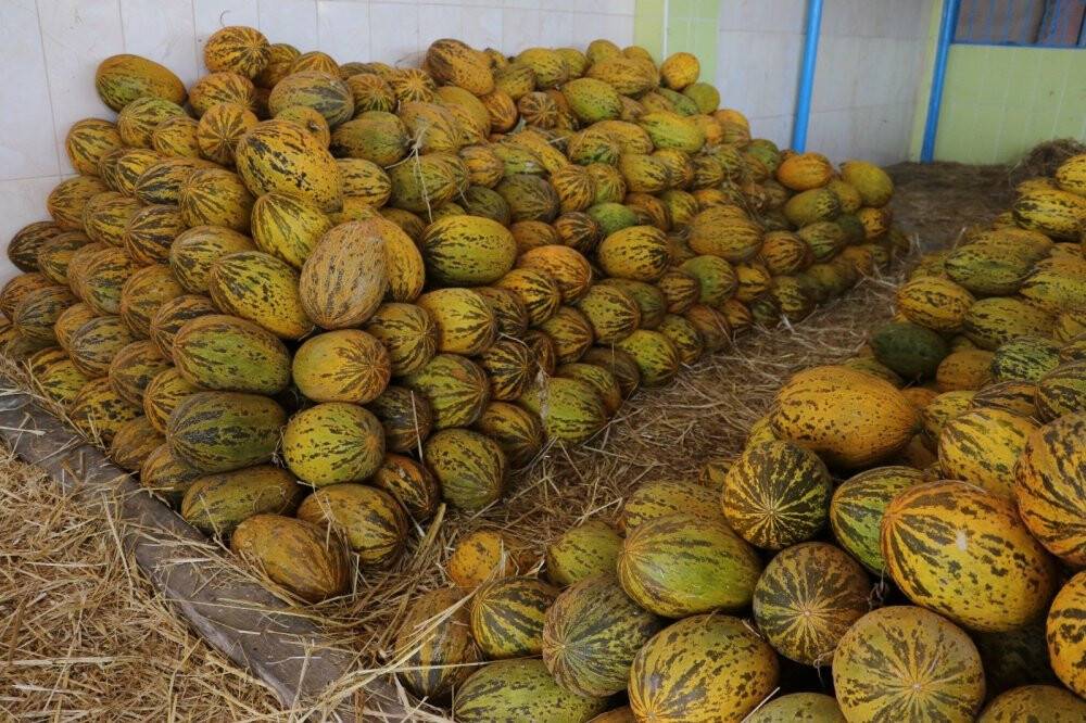 Kurban Bayramı öncesinde sebze ve meyveye zam yok