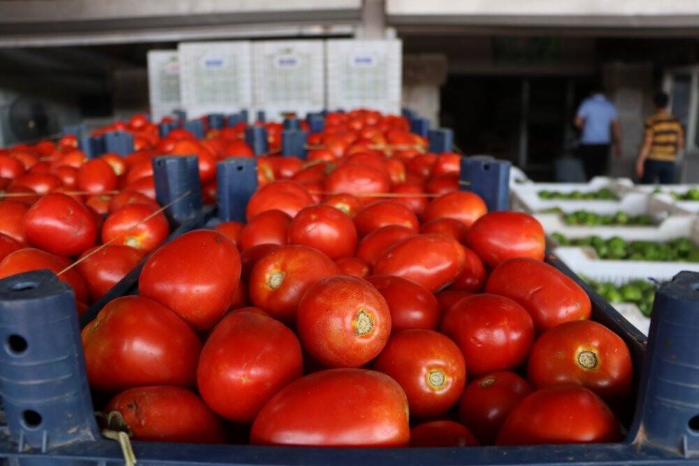 Kurban Bayramı öncesinde sebze ve meyveye zam yok