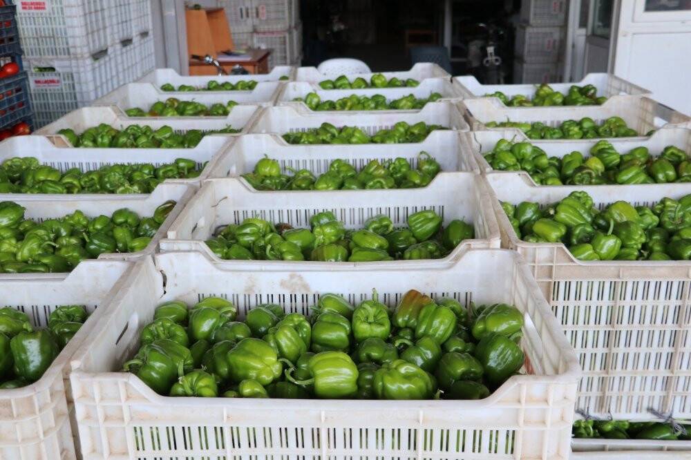 Kurban Bayramı öncesinde sebze ve meyveye zam yok