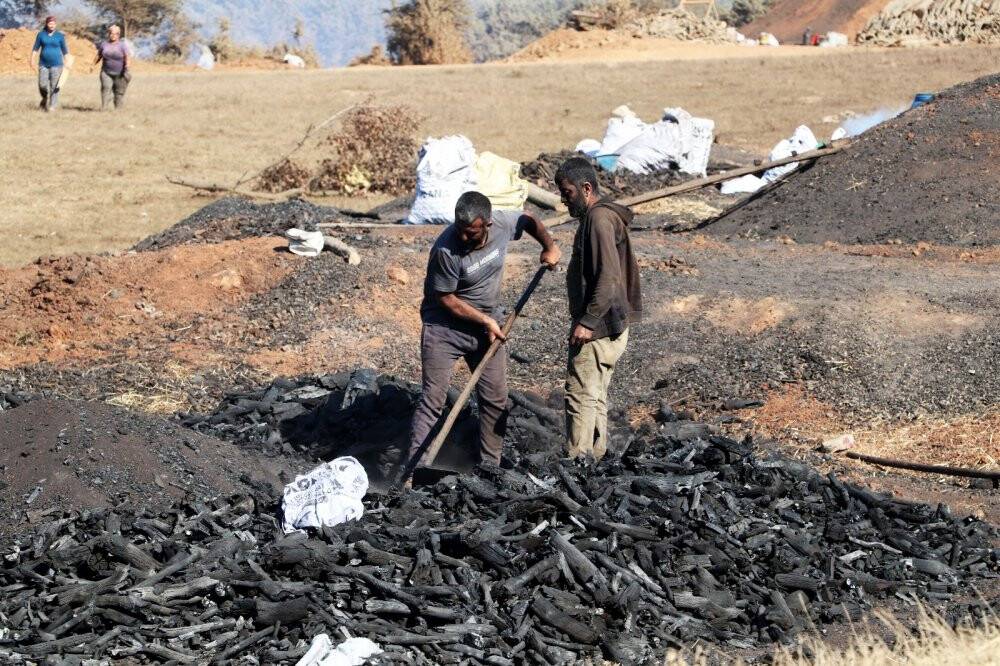 Mangal kömürünün zorlu yolculuğu