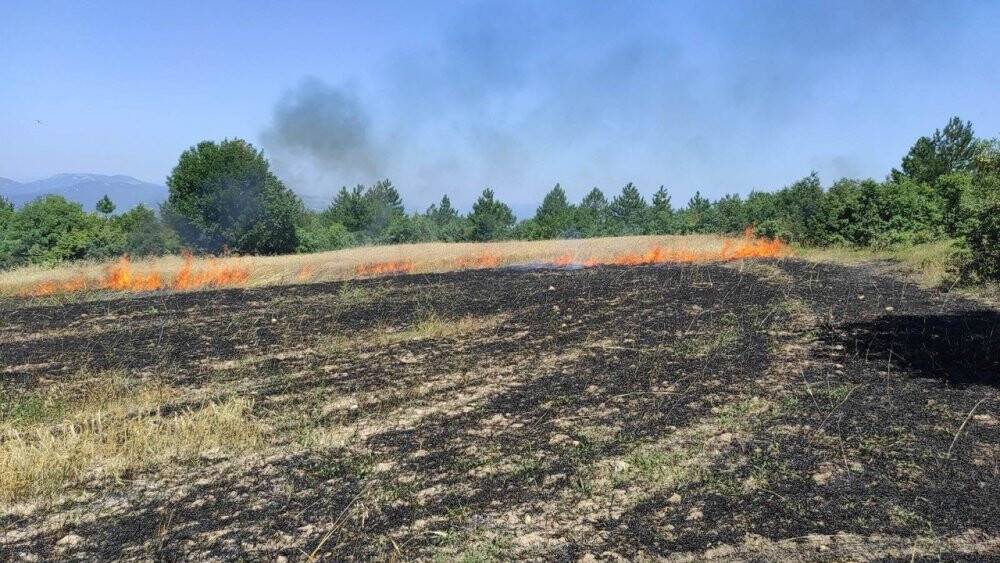 Ses bombasından çıkan alevler tarım arazisini küle çevirdi