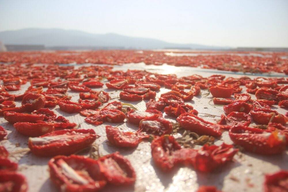 Torbalı’nın 'kırmızı altınları' dünya sofrasında
