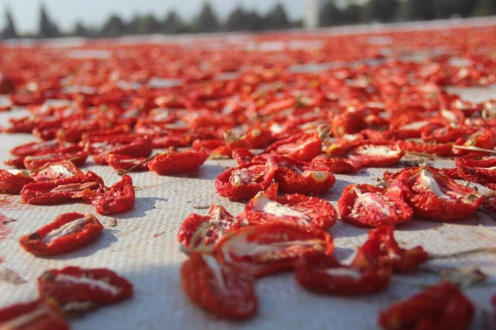 Torbalı’nın 'kırmızı altınları' dünya sofrasında