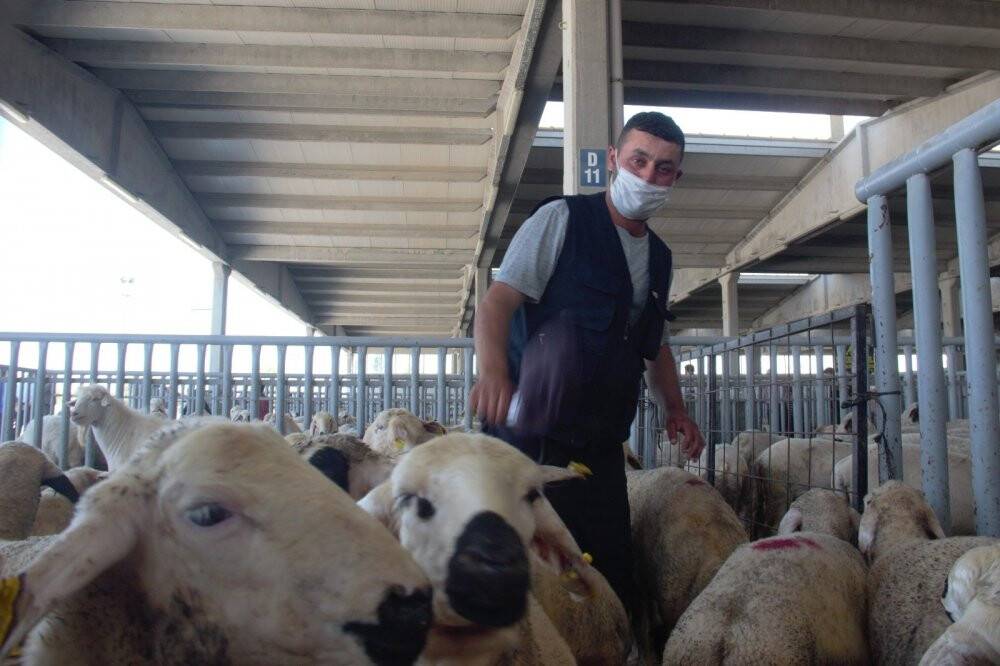 Konya’da Kurban Bayramı arifesinde pazarlarda sakinlik