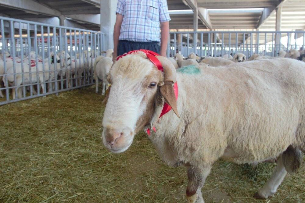 Konya’da Kurban Bayramı arifesinde pazarlarda sakinlik