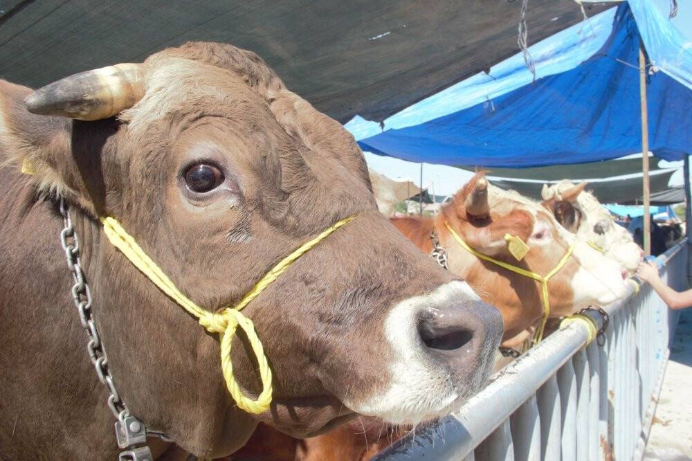 Konya’da Kurban Bayramı arifesinde pazarlarda sakinlik
