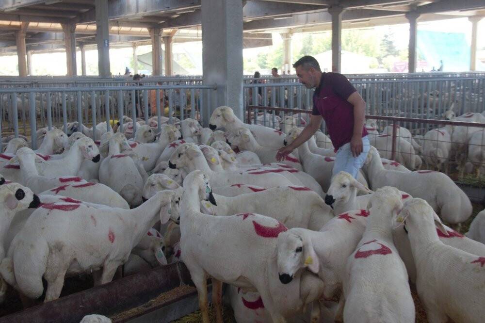 Konya’da Kurban Bayramı arifesinde pazarlarda sakinlik