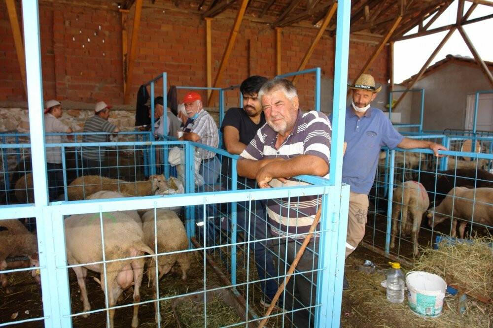 Pazaryeri’nde küçükbaş kurbanlıklar elde kaldı