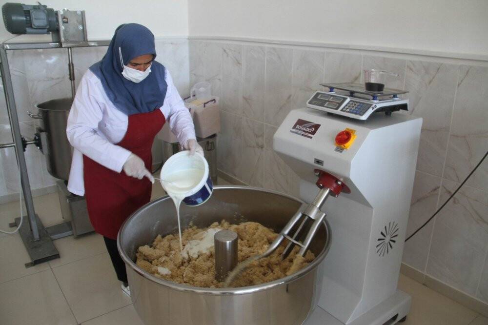 Artık güneş altında değil fırınlarda kurutuluyor