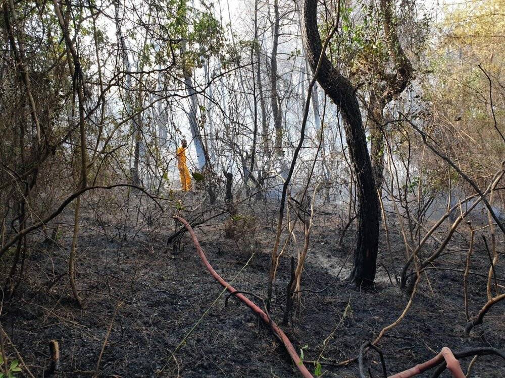 Bakan Pakdemirli: Osmaniye’deki yangın kontrol altına alındı