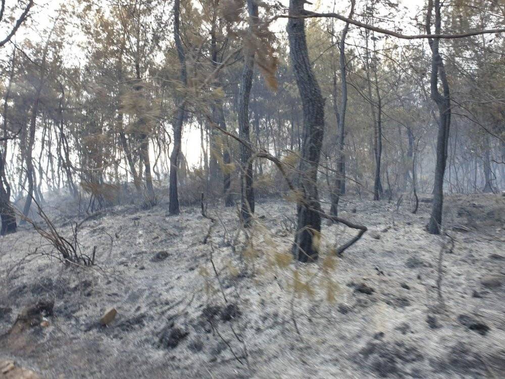 Bakan Pakdemirli: Osmaniye’deki yangın kontrol altına alındı