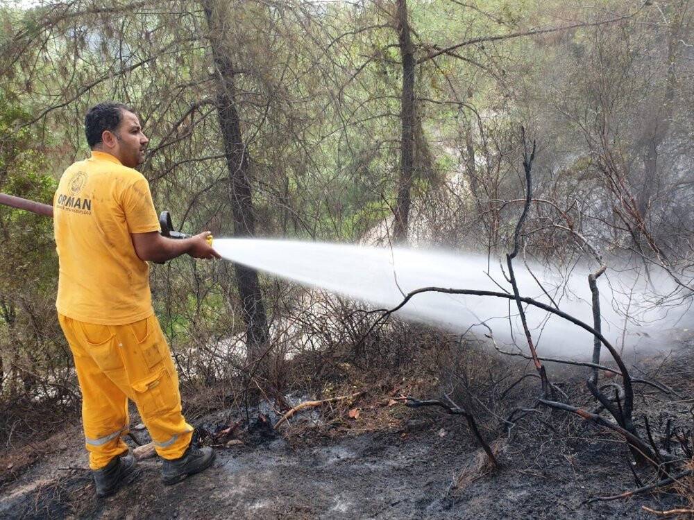 Bakan Pakdemirli: Osmaniye’deki yangın kontrol altına alındı