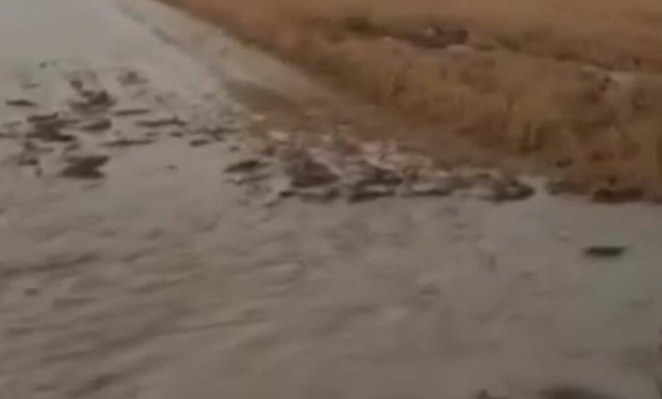 Altıntaş’ta aşırı yağış tarım arazilerinde zarara yol açtı