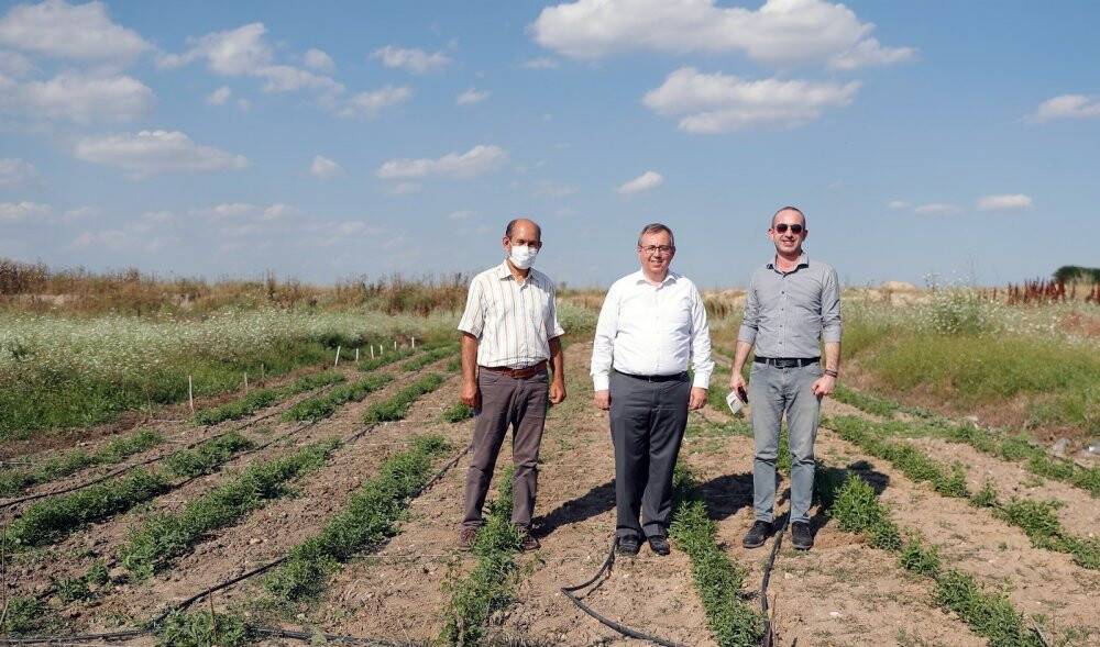 Edirne Kırmızısı kök salıyor