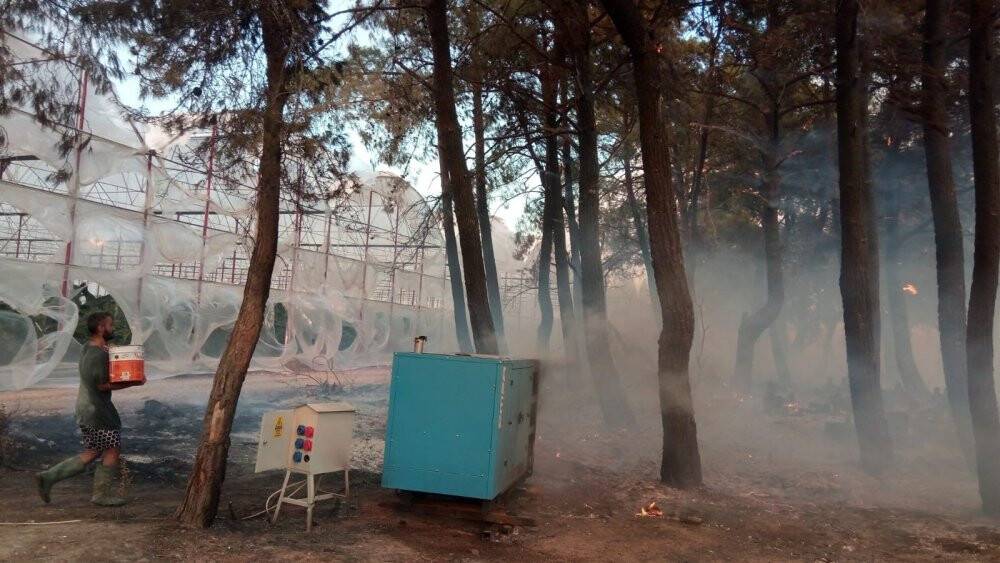 Muz seraları yandı, traktörler alevlere teslim oldu