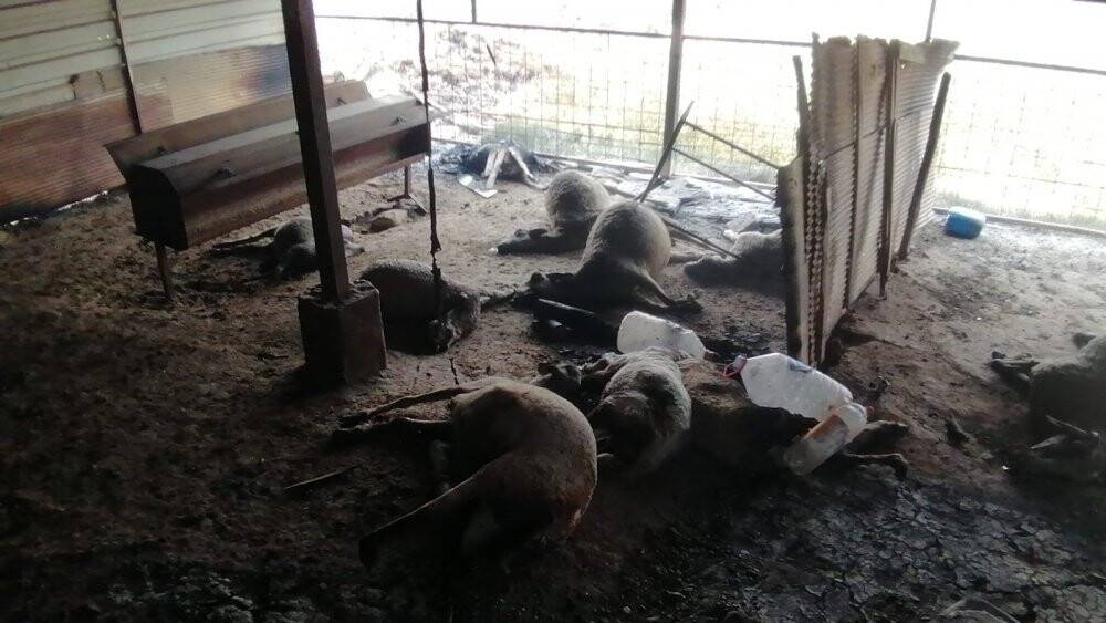 Alevlere evlerinde yakalandılar: 2 ölü