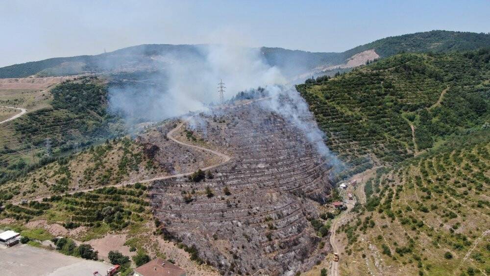 Kocaeli’deki orman yangını 1 buçuk saatte kontrol altına alındı