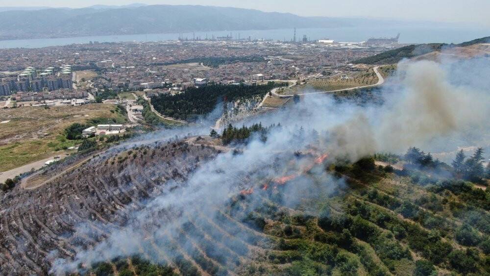 Kocaeli’deki orman yangını 1 buçuk saatte kontrol altına alındı