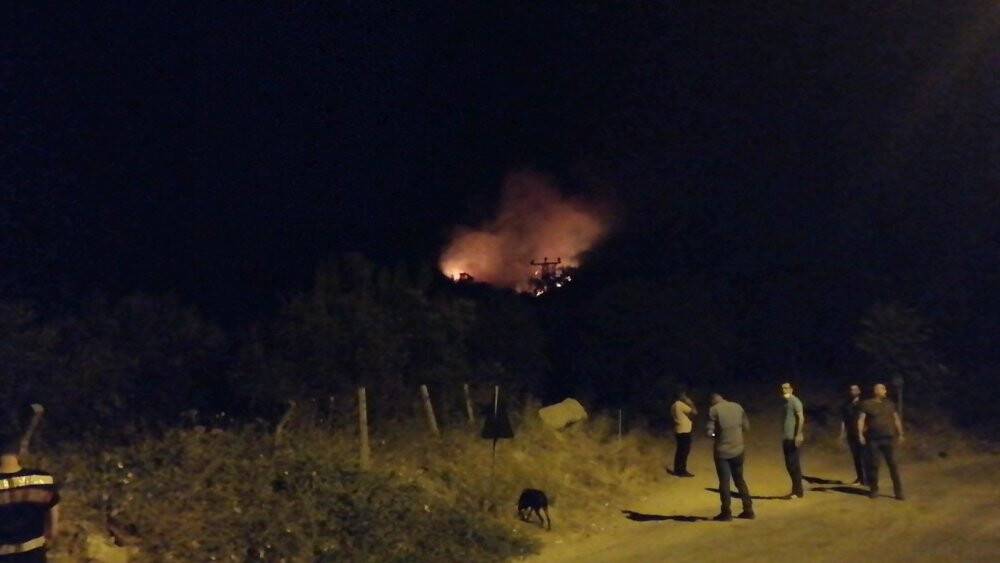 Manisa’da orman yangını başladı
