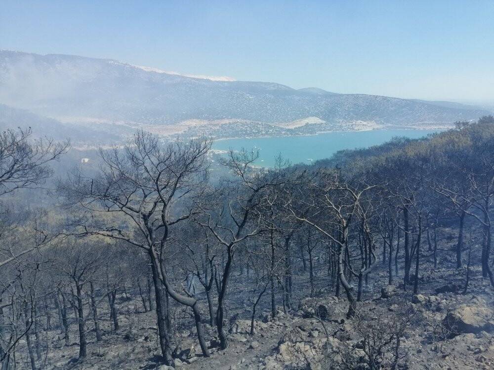 Silifke’deki orman yangını büyüyor