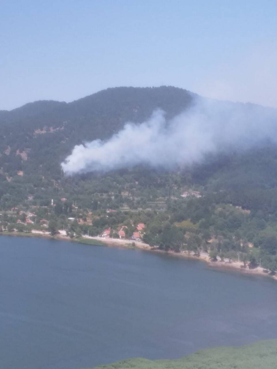 İzmir’de orman yangını